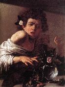 Caravaggio Boy Bitten by a Lizard f France oil painting reproduction