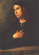 Giorgione Portrait of a Youth (Antonio Broccardo) dsdg oil painting on canvas