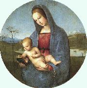 Raphael Conestabile Madonna oil