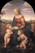 Raphael The Virgin and Child with the infant Saint John the Baptist France oil painting artist