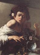 Caravaggio Boy Bitten by a Lizard oil