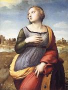 Raphael Saint Catherine of Alexandria France oil painting artist
