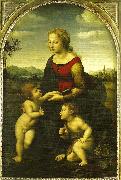 Raphael virgin and child wild st. France oil painting artist