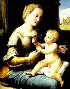 Raphael madonna of the pinks France oil painting artist