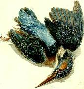 J.M.W.Turner kingfisher France oil painting artist
