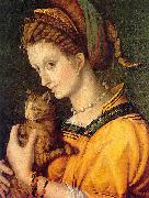 BACCHIACCA Portrait de jeune femme tenant un chat oil