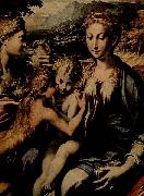 PARMIGIANINO Thronende Madonna, Hl. Zacharias, Hl. Johannes der Taufer und Hl. Maria Magdalena France oil painting artist