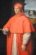 Raphael Portrait of Cardinal Alessandro Farnese France oil painting artist