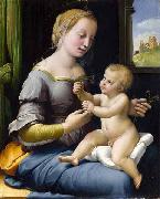 Raphael Madonna dei garofani France oil painting artist