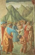 MASACCIO The Baptism of the Neophytes France oil painting artist