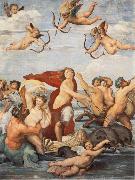 Raphael Triumph of Galatea France oil painting artist