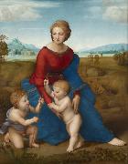 Raphael Madonna of the Meadows (mk08) France oil painting reproduction