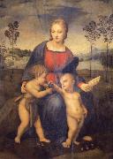 Raphael Madonna of the Goldfinch France oil painting artist