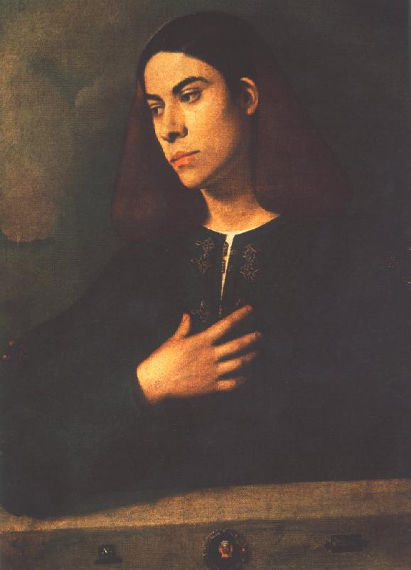 Giorgione Portrait of a Youth (Antonio Broccardo) dsdg France oil painting art