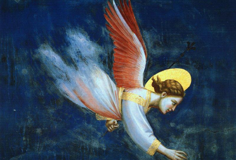 Giotto Detail of an Angel oil painting image