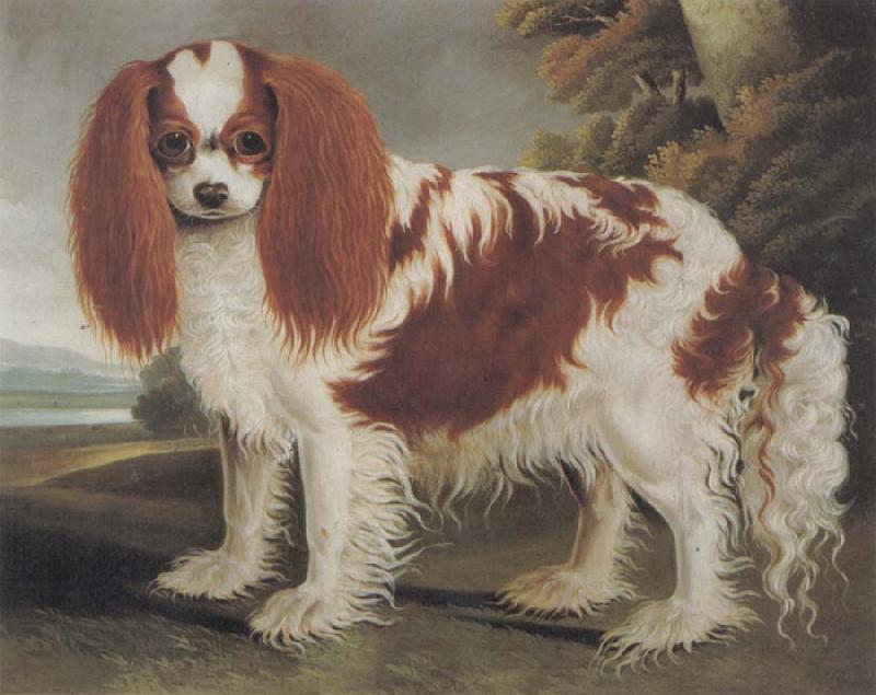 J.L.Clark King Charles Spaniel II oil painting picture