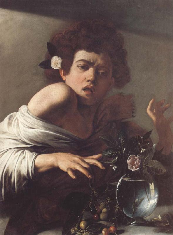 Caravaggio Boy Bitten by a Lizard oil painting picture