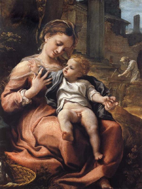 Correggio The Madonna of the Basket France oil painting art