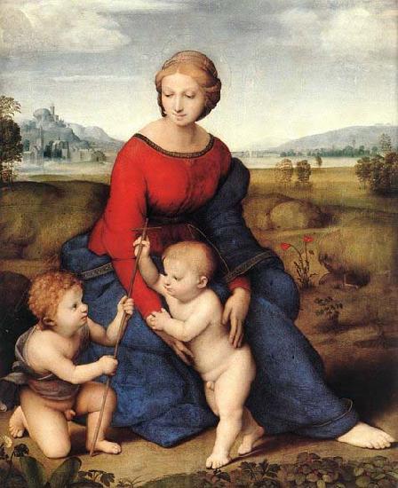 Raffaello Madonna of Belvedere France oil painting art