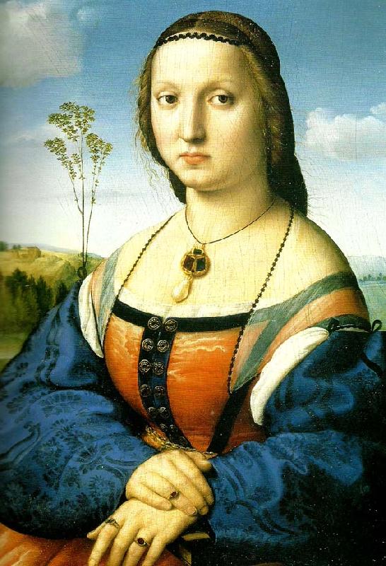 Raphael portrait of maddalena oil painting image