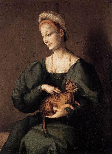 BACCHIACCA Woman with a Cat France oil painting art