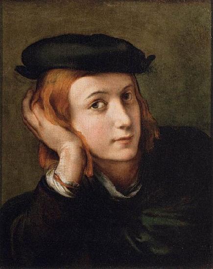 PARMIGIANINO Portrait of a Youth oil painting image