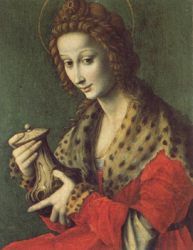 Bachiacca Mary Magdalen oil painting image