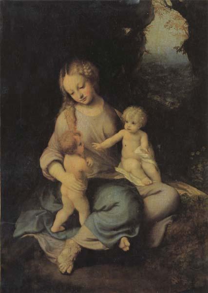 Correggio Madonna and Child France oil painting art