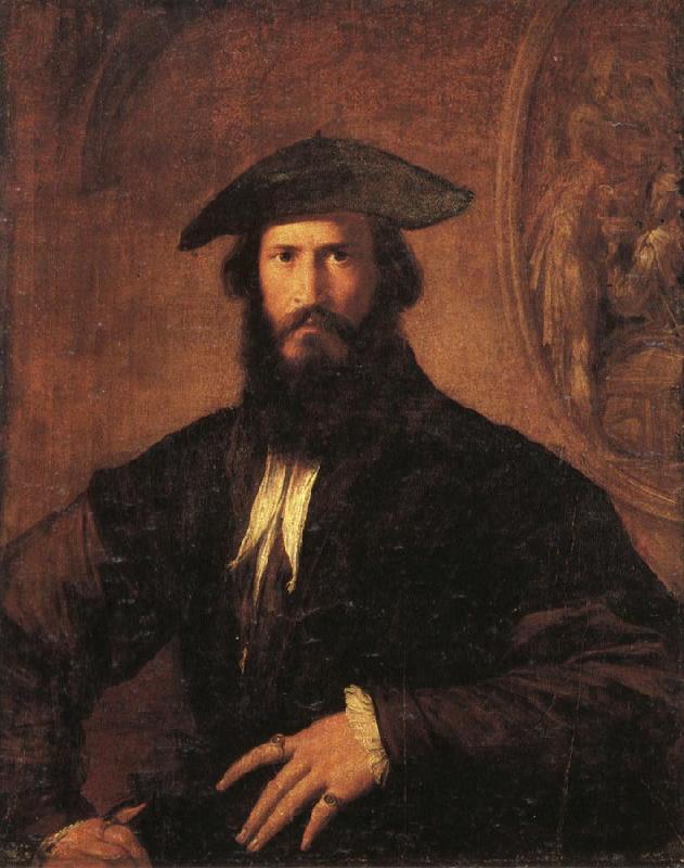 PARMIGIANINO Portrait of a Man France oil painting art