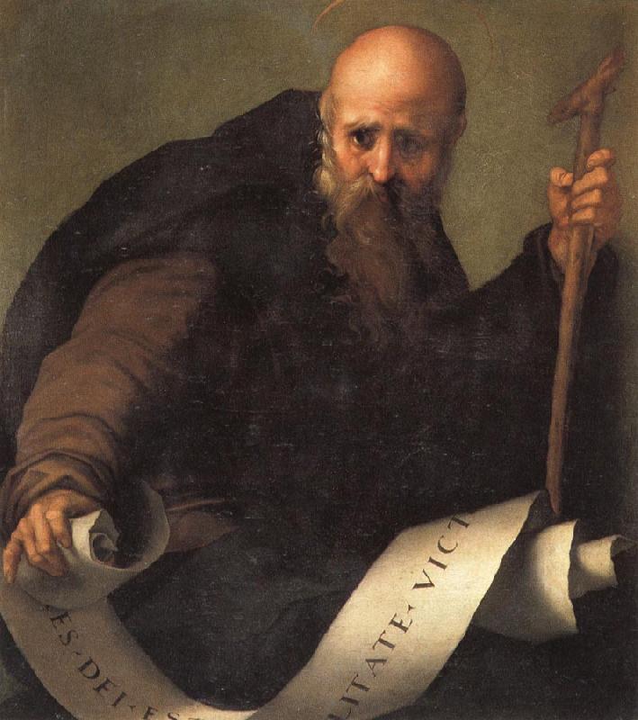 Pontormo St.Anthony Abbot oil painting image