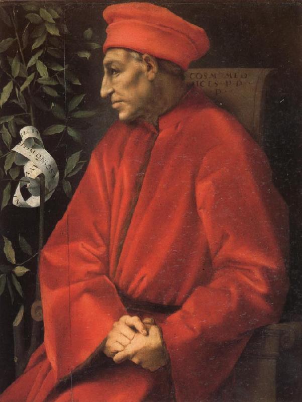 Pontormo Portrait of Cosimo il Vecchio France oil painting art