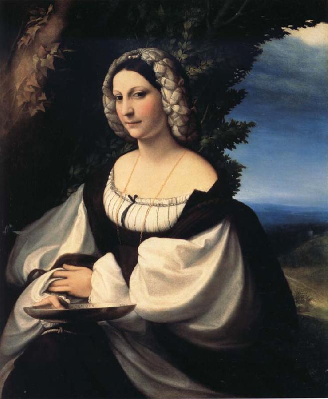 Correggio Portrait of a Gentlewoman France oil painting art