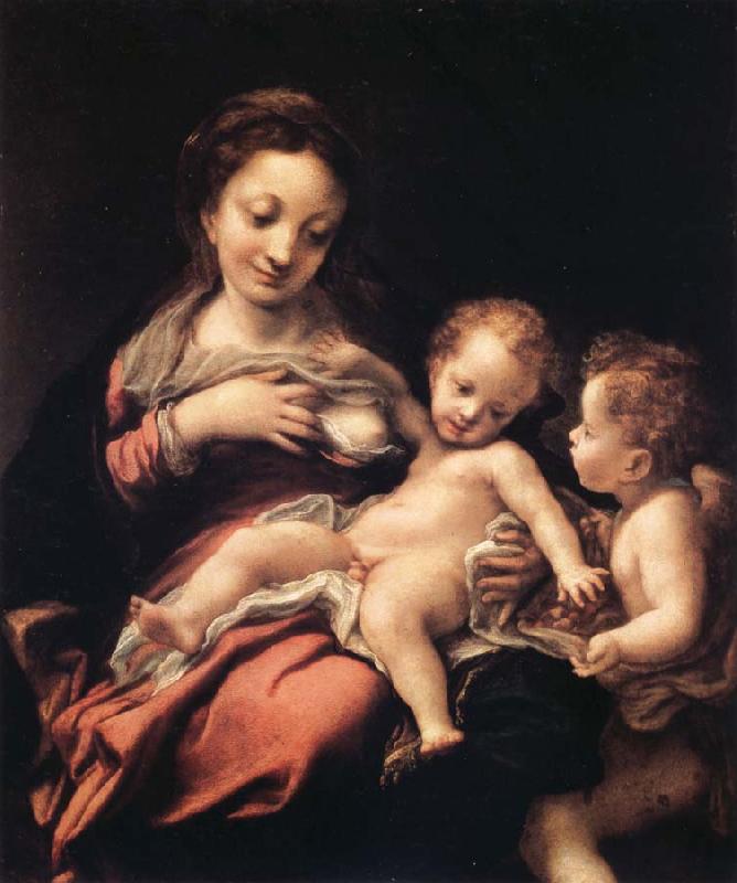 Correggio Madonna del Latte France oil painting art