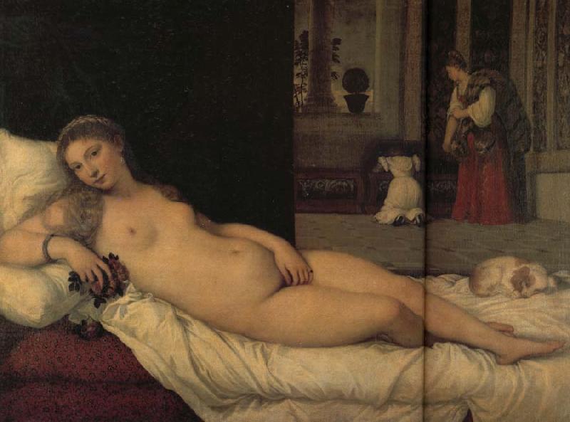 Titian Venus of Urbino France oil painting art