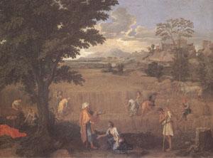 Poussin Summer or Ruth and Boas (mk05) France oil painting art