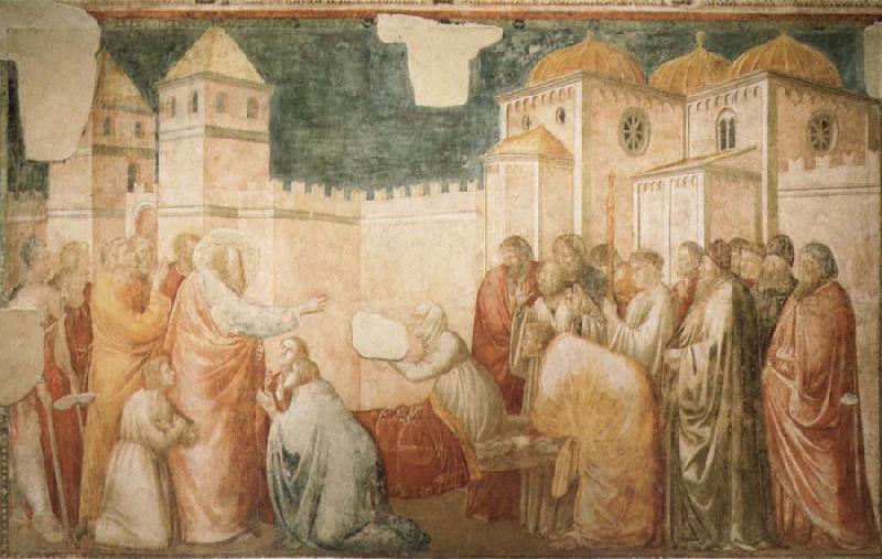 Giotto The Raising of Drusiana,Cappella Peruzzi oil painting picture